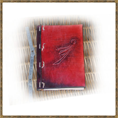 21.02 produit 2 petit grimoire