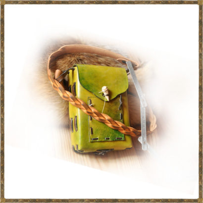 21.02 produit 8 pochette homo sapiens photo