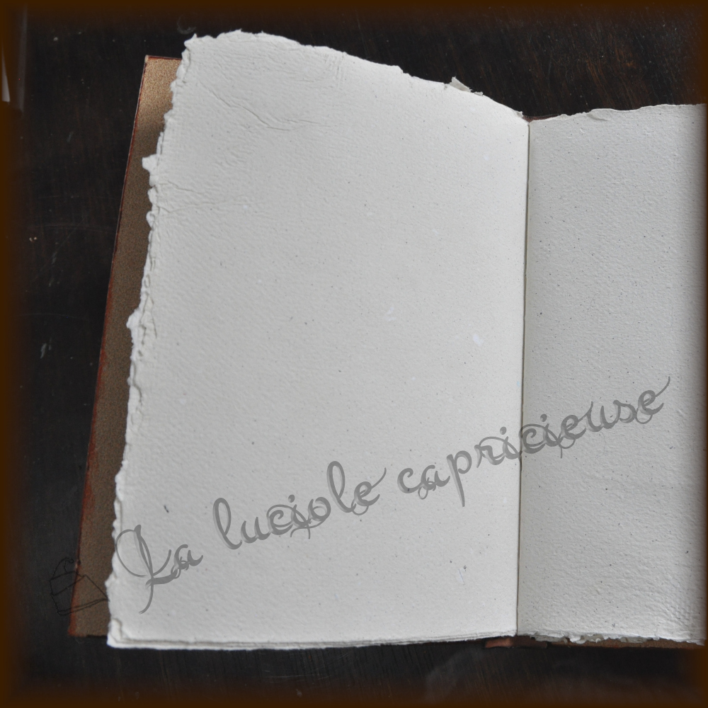 Intérieur d'un mini grimoire en cuir de bovin tanné végétal, papier artisanal